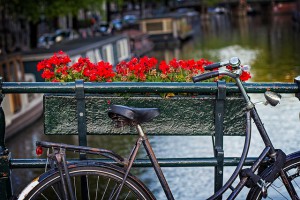 Особенности путешествия в Амстердам